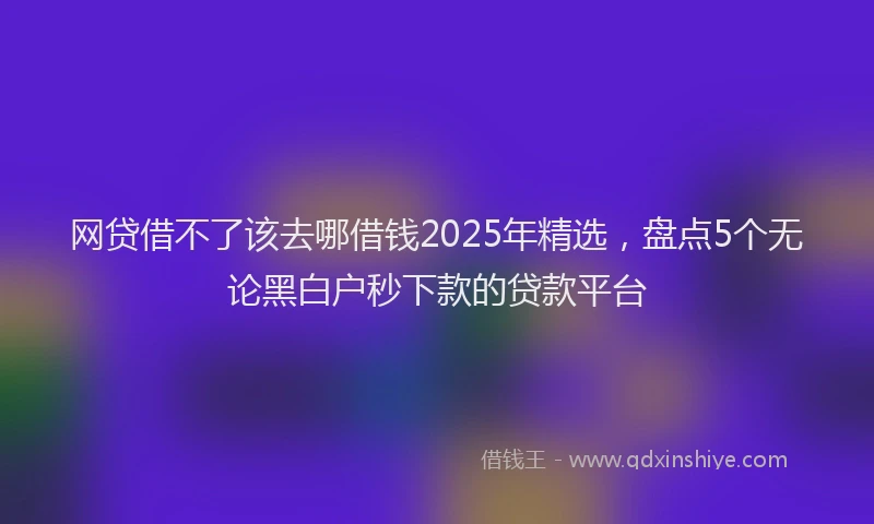 网贷借不了该去哪借钱2025年精选，盘点5个无论黑白户秒下款的贷款平台