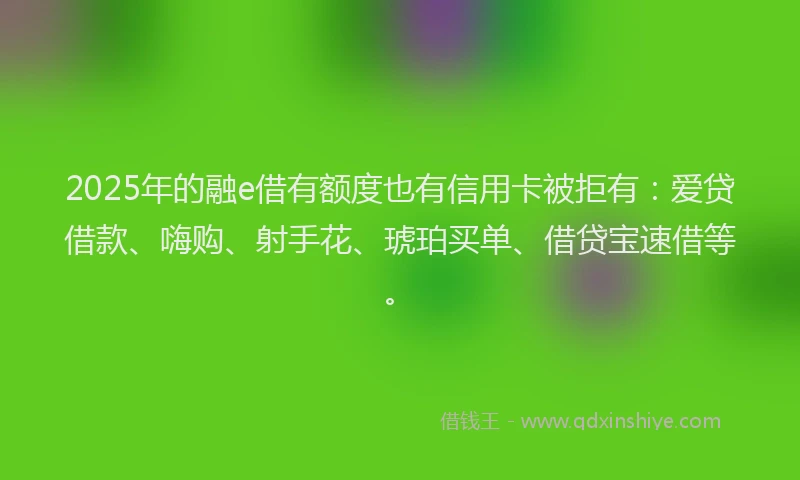 2025年的融e借有额度也有信用卡被拒有：爱贷借款、嗨购、射手花、琥珀买单、借贷宝速借等。