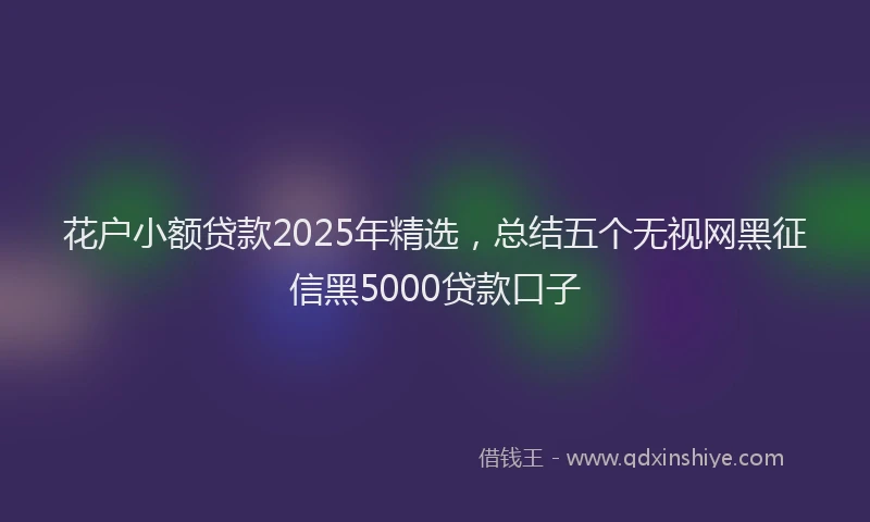 花户小额贷款2025年精选，总结五个无视网黑征信黑5000贷款口子