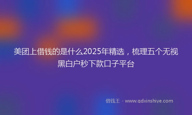 美团上借钱的是什么2025年精选，梳理五个无视黑白户秒下款口子平台