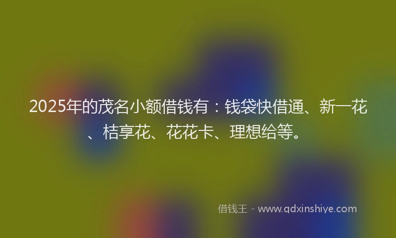 2025年的茂名小额借钱有：钱袋快借通、新一花、桔享花、花花卡、理想给等。