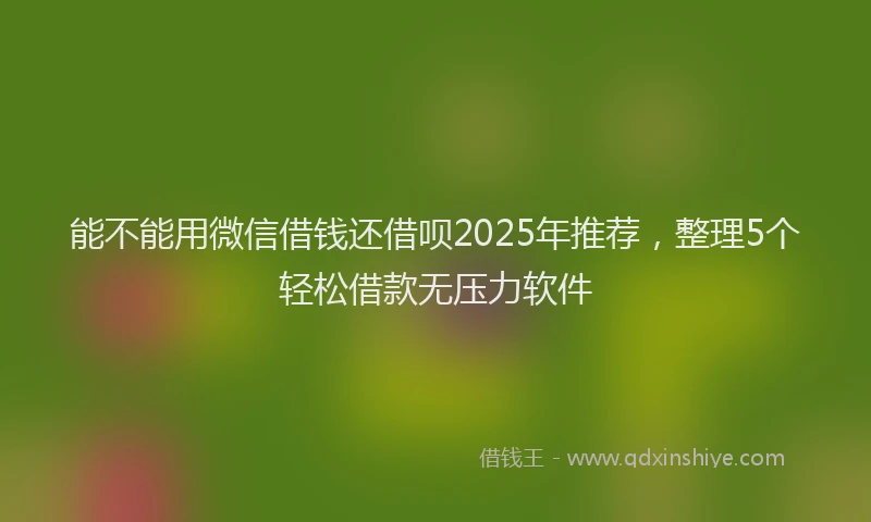 能不能用微信借钱还借呗2025年推荐，整理5个轻松借款无压力软件