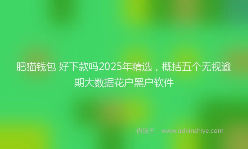 肥猫钱包 好下款吗2025年精选，概括五个无视逾期大数据花户黑户软件