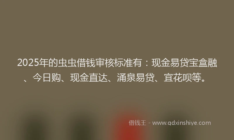 2025年的虫虫借钱审核标准有：现金易贷宝盒融、今日购、现金直达、涌泉易贷、宜花呗等。