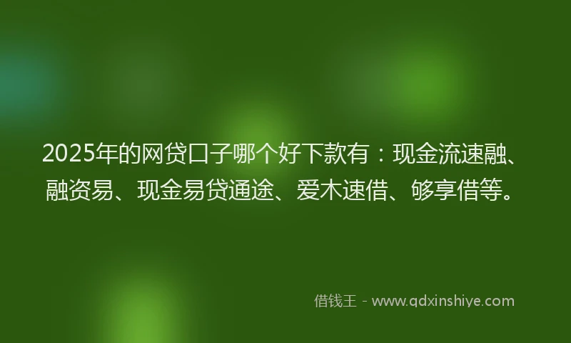2025年的网贷口子哪个好下款有：现金流速融、融资易、现金易贷通途、爱木速借、够享借等。