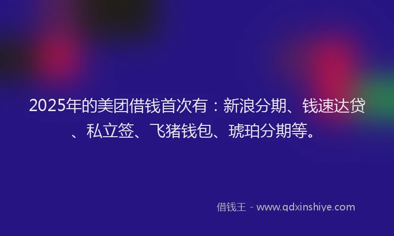 2025年的美团借钱首次有：新浪分期、钱速达贷、私立签、飞猪钱包、琥珀分期等。