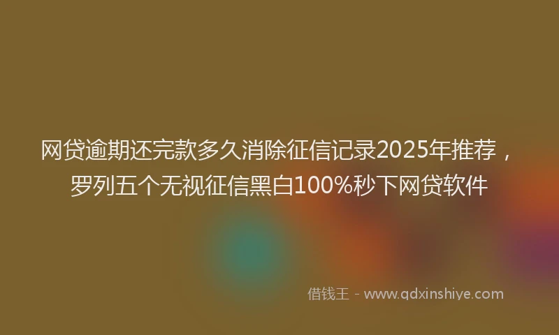 网贷逾期还完款多久消除征信记录2025年推荐，罗列五个无视征信黑白100%秒下网贷软件