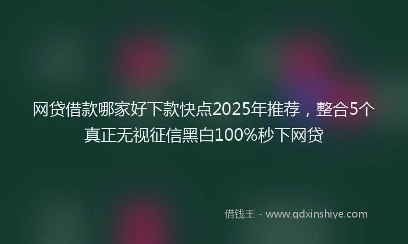 网贷借款哪家好下款快点2025年推荐，整合5个真正无视征信黑白100%秒下网贷