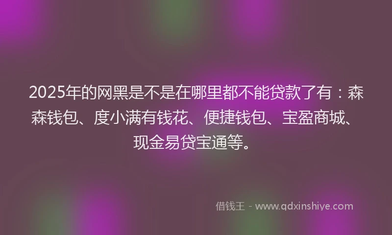 2025年的网黑是不是在哪里都不能贷款了有：森森钱包、度小满有钱花、便捷钱包、宝盈商城、现金易贷宝通等。