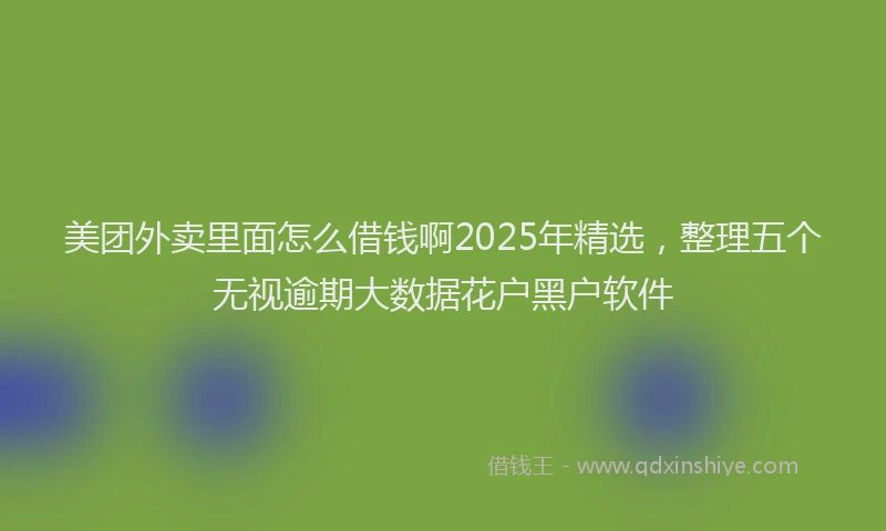 美团外卖里面怎么借钱啊2025年精选，整理五个无视逾期大数据花户黑户软件