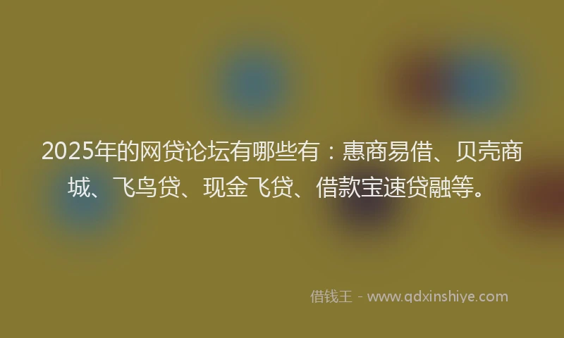 2025年的网贷论坛有哪些有：惠商易借、贝壳商城、飞鸟贷、现金飞贷、借款宝速贷融等。