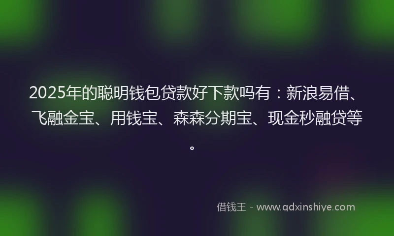 2025年的聪明钱包贷款好下款吗有：新浪易借、飞融金宝、用钱宝、森森分期宝、现金秒融贷等。