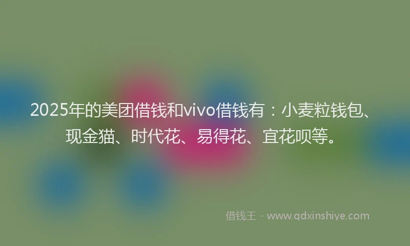 2025年的美团借钱和vivo借钱有：小麦粒钱包、现金猫、时代花、易得花、宜花呗等。