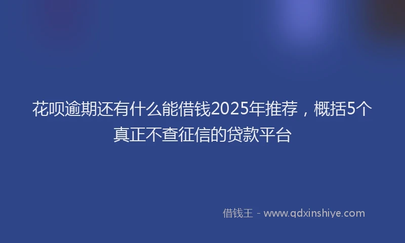 花呗逾期还有什么能借钱2025年推荐，概括5个真正不查征信的贷款平台