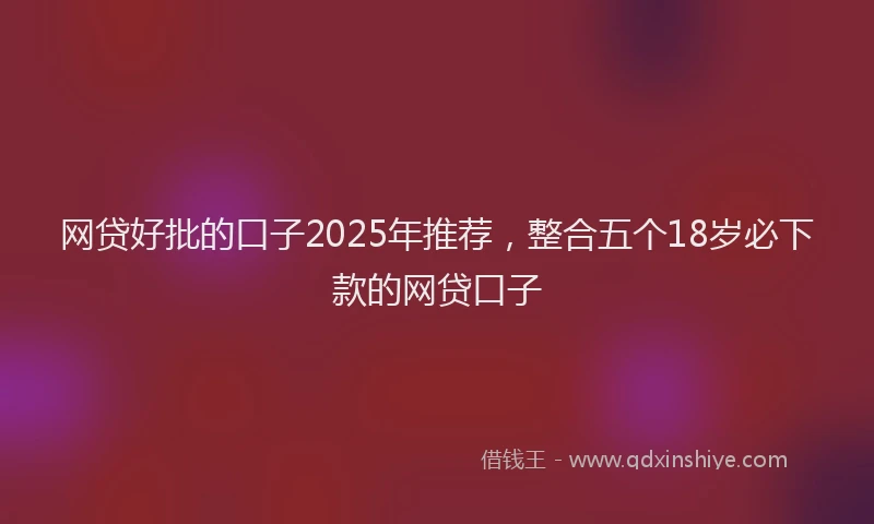 网贷好批的口子2025年推荐，整合五个18岁必下款的网贷口子