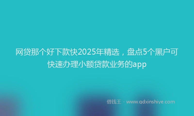 网贷那个好下款快2025年精选，盘点5个黑户可快速办理小额贷款业务的app