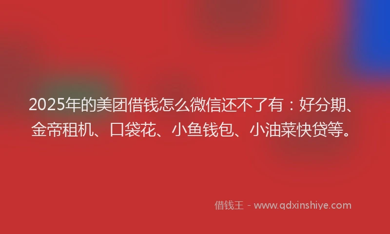 2025年的美团借钱怎么微信还不了有：好分期、金帝租机、口袋花、小鱼钱包、小油菜快贷等。