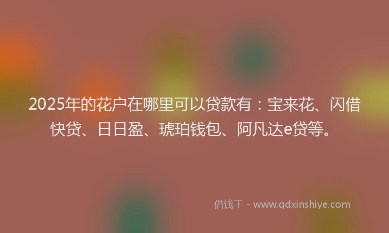 2025年的花户在哪里可以贷款有：宝来花、闪借快贷、日日盈、琥珀钱包、阿凡达e贷等。