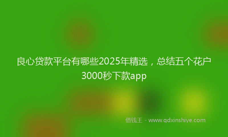 良心贷款平台有哪些2025年精选，总结五个花户3000秒下款app