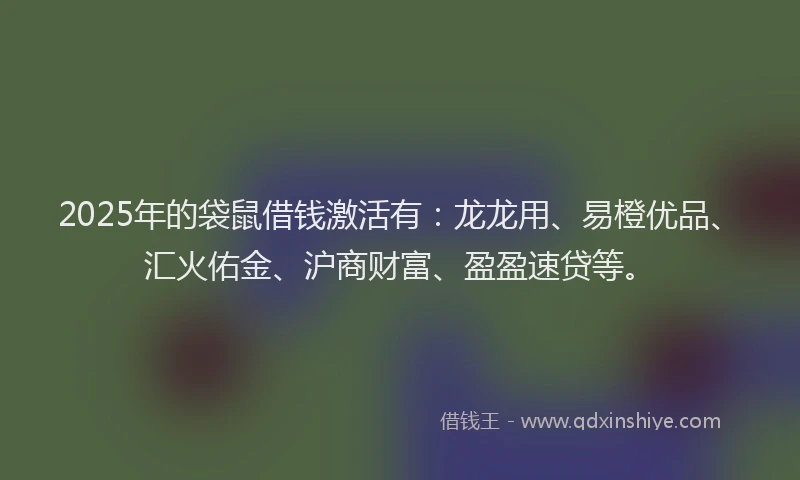 2025年的袋鼠借钱激活有：龙龙用、易橙优品、汇火佑金、沪商财富、盈盈速贷等。