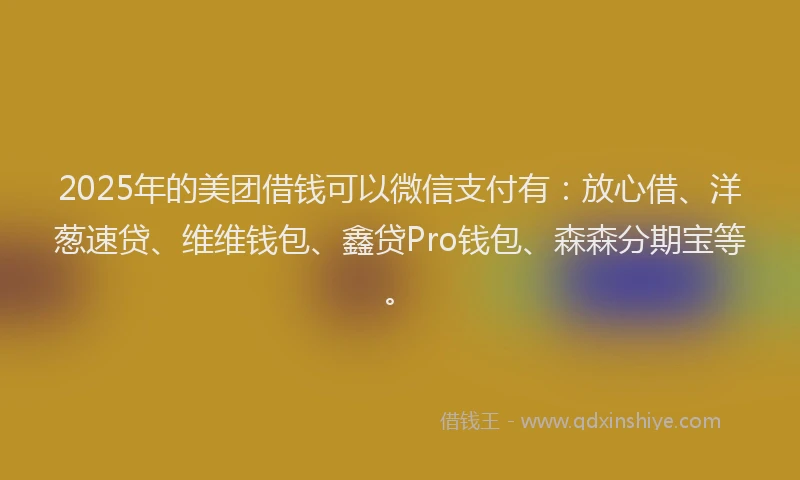 2025年的美团借钱可以微信支付有：放心借、洋葱速贷、维维钱包、鑫贷Pro钱包、森森分期宝等。