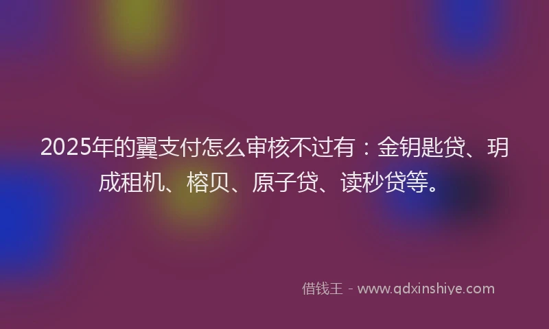 2025年的翼支付怎么审核不过有：金钥匙贷、玥成租机、榕贝、原子贷、读秒贷等。