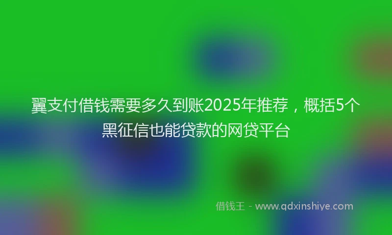 翼支付借钱需要多久到账2025年推荐，概括5个黑征信也能贷款的网贷平台