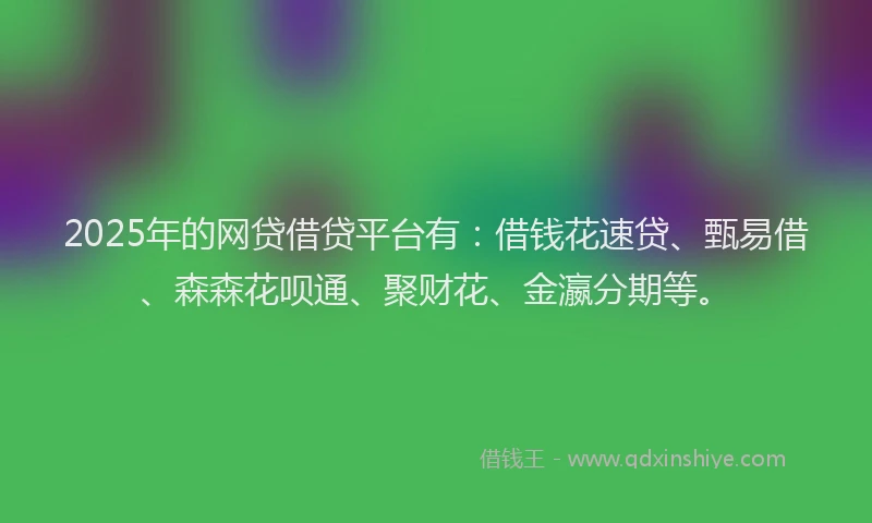 2025年的网贷借贷平台有：借钱花速贷、甄易借、森森花呗通、聚财花、金瀛分期等。