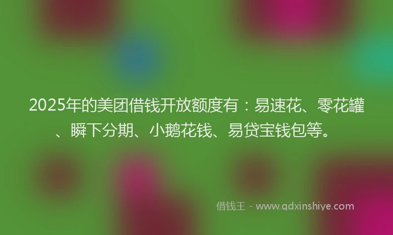 2025年的美团借钱开放额度有：易速花、零花罐、瞬下分期、小鹅花钱、易贷宝钱包等。