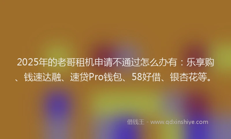 2025年的老哥租机申请不通过怎么办有：乐享购、钱速达融、速贷Pro钱包、58好借、银杏花等。