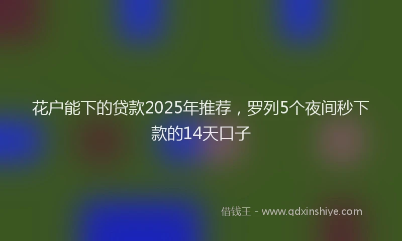 花户能下的贷款2025年推荐，罗列5个夜间秒下款的14天口子