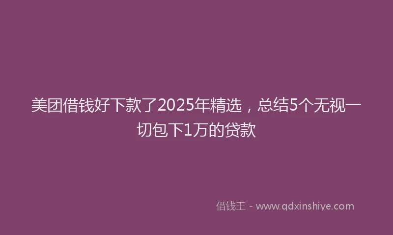 美团借钱好下款了2025年精选，总结5个无视一切包下1万的贷款
