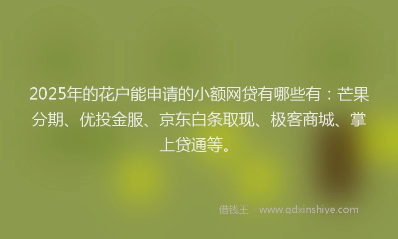 2025年的花户能申请的小额网贷有哪些有：芒果分期、优投金服、京东白条取现、极客商城、掌上贷通等。
