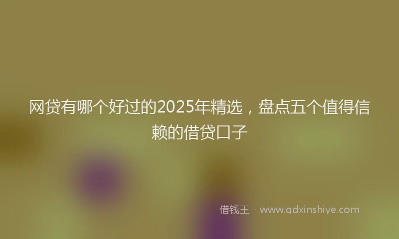 网贷有哪个好过的2025年精选，盘点五个值得信赖的借贷口子