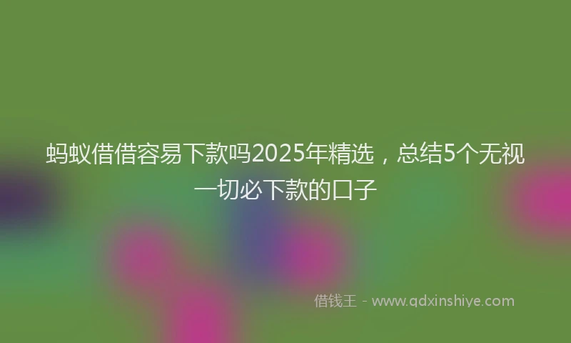 蚂蚁借借容易下款吗2025年精选，总结5个无视一切必下款的口子