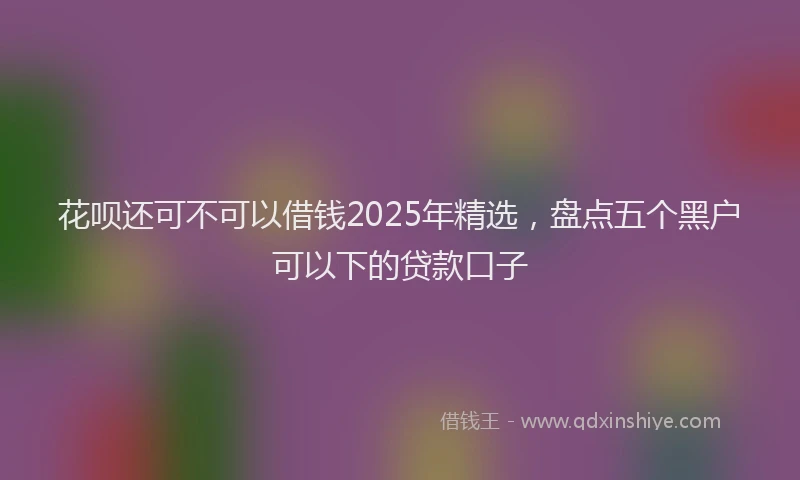 花呗还可不可以借钱2025年精选，盘点五个黑户可以下的贷款口子