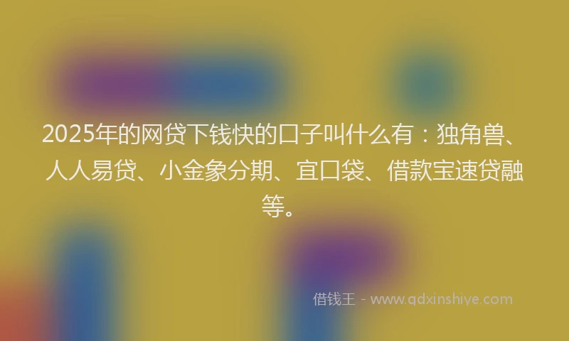 2025年的网贷下钱快的口子叫什么有：独角兽、人人易贷、小金象分期、宜口袋、借款宝速贷融等。