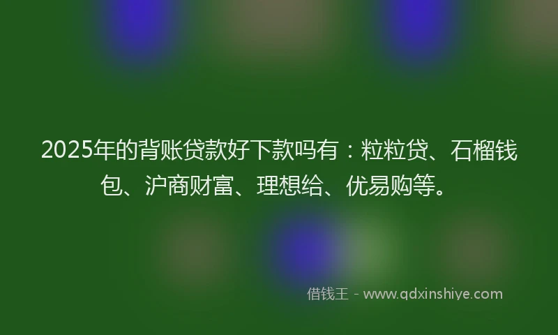 2025年的背账贷款好下款吗有：粒粒贷、石榴钱包、沪商财富、理想给、优易购等。