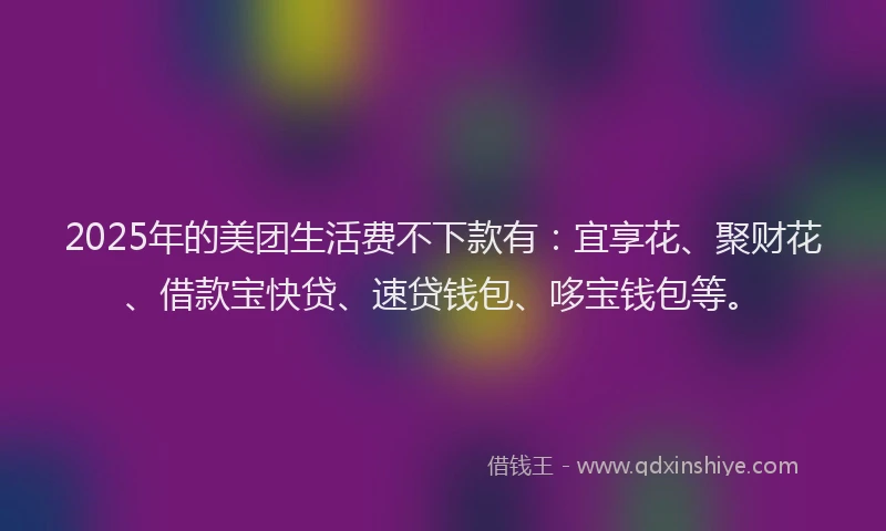 2025年的美团生活费不下款有：宜享花、聚财花、借款宝快贷、速贷钱包、哆宝钱包等。