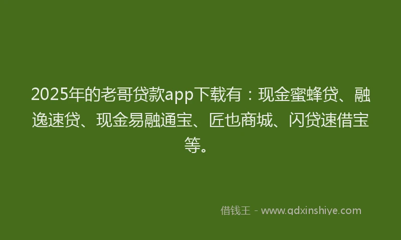 2025年的老哥贷款app下载有：现金蜜蜂贷、融逸速贷、现金易融通宝、匠也商城、闪贷速借宝等。