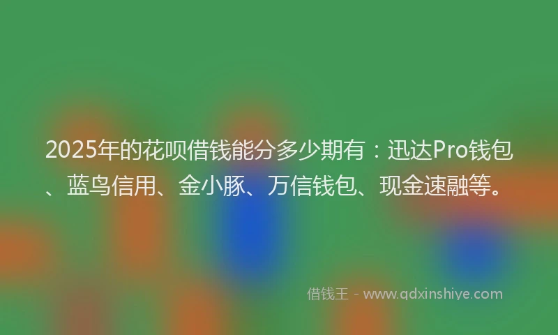 2025年的花呗借钱能分多少期有：迅达Pro钱包、蓝鸟信用、金小豚、万信钱包、现金速融等。