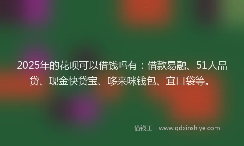 2025年的花呗可以借钱吗有：借款易融、51人品贷、现金快贷宝、哆来咪钱包、宜口袋等。