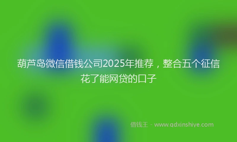 葫芦岛微信借钱公司2025年推荐，整合五个征信花了能网贷的口子