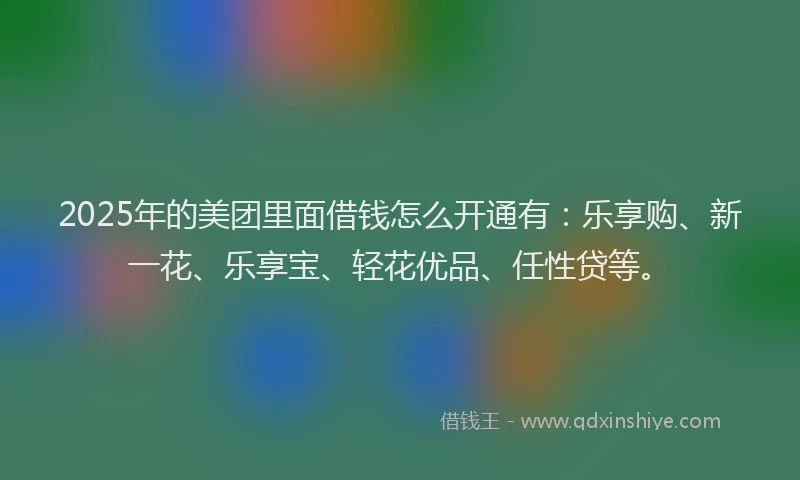 2025年的美团里面借钱怎么开通有：乐享购、新一花、乐享宝、轻花优品、任性贷等。