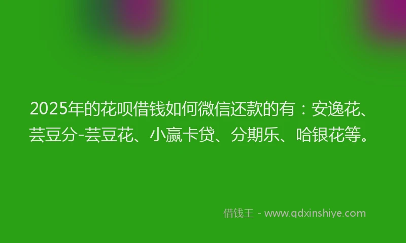 2025年的花呗借钱如何微信还款的有：安逸花、芸豆分-芸豆花、小赢卡贷、分期乐、哈银花等。