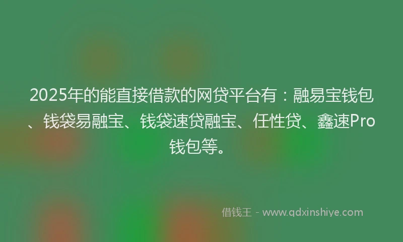 2025年的能直接借款的网贷平台有：融易宝钱包、钱袋易融宝、钱袋速贷融宝、任性贷、鑫速Pro钱包等。