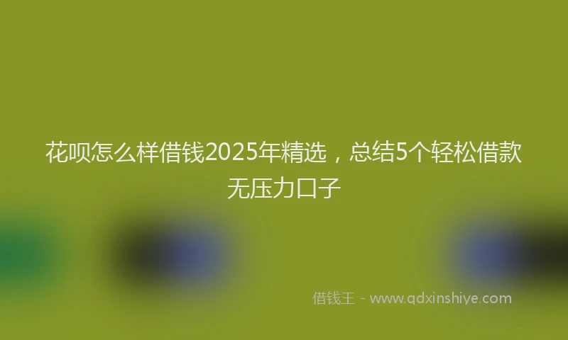 花呗怎么样借钱2025年精选，总结5个轻松借款无压力口子