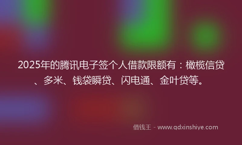 2025年的腾讯电子签个人借款限额有：橄榄信贷、多米、钱袋瞬贷、闪电通、金叶贷等。