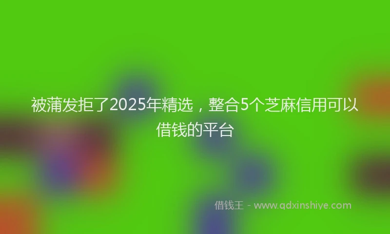 被蒲发拒了2025年精选，整合5个芝麻信用可以借钱的平台
