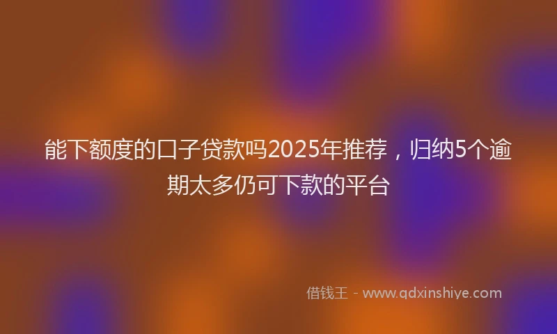能下额度的口子贷款吗2025年推荐，归纳5个逾期太多仍可下款的平台